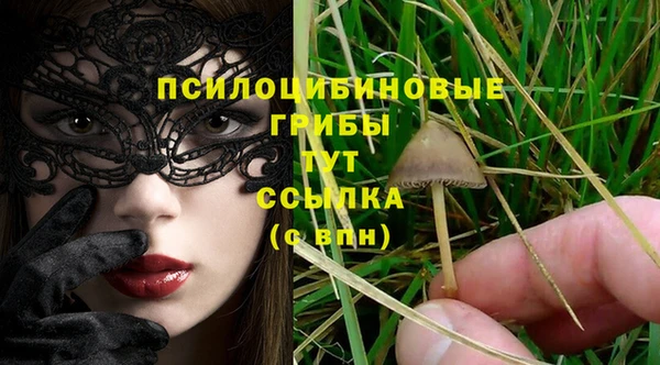 ПСИЛОЦИБИНОВЫЕ ГРИБЫ Белая Холуница