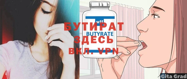 сатива Новозыбков
