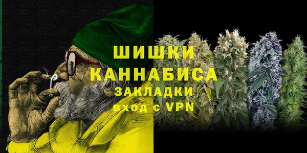 сатива Новозыбков