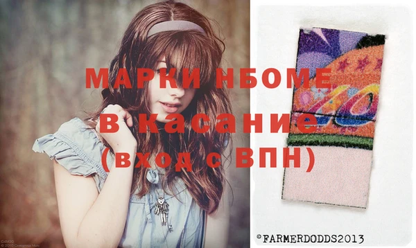 сатива Новозыбков