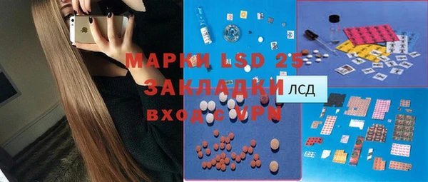 сатива Новозыбков