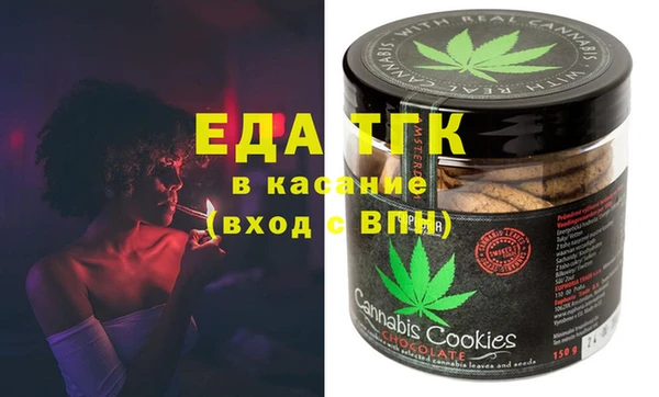 сатива Новозыбков