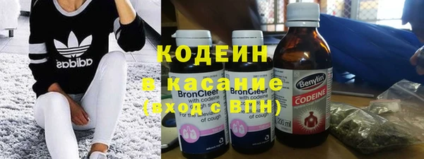 сатива Новозыбков